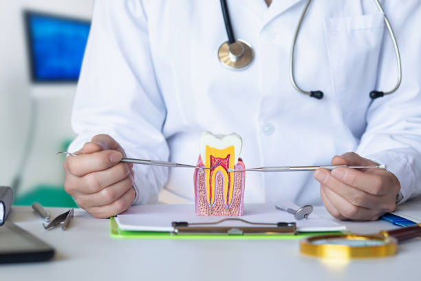 Best Orthodontic Emergency Dentist in Munford, TN